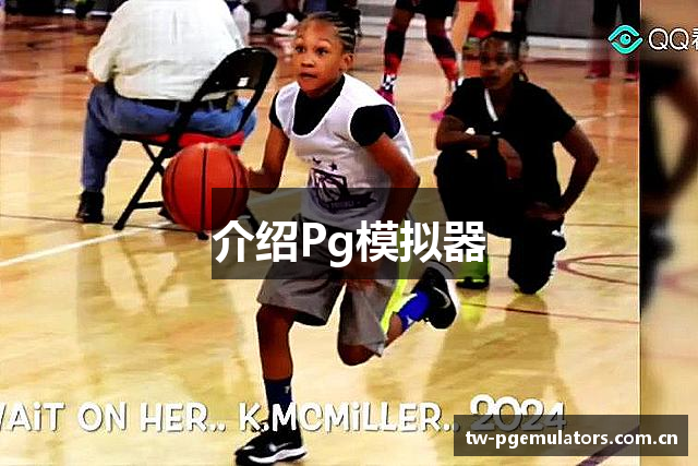 介绍Pg模拟器